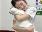 这里为你撰写一篇文章，标题使用了吸引眼球的设问式，内容包含了实际操作步骤和借助专业团队这一关键要点。怎样投诉主播最有效呢